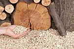 Pellets Staemme